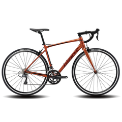 Bicicleta Giant Ruta SCR 2 Claris 2X8V.
