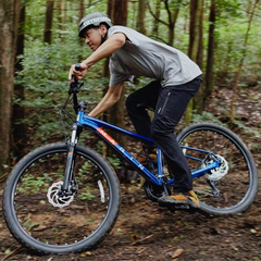 Bicicleta Marin Bolinas Ridge 29er