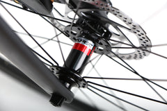 Bicicleta ruta Twitter R10 carbón 2x12 Disco Gris