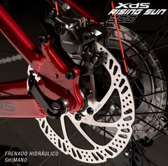 Bicicleta XDS Risingsun 300A Tourney 3X8V