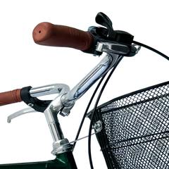 Bicicleta Alvarado Urbana Paris con canastas