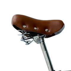 Bicicleta Alvarado Urbana Paris con canastas