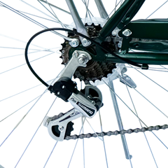 Bicicleta Alvarado Urbana Paris con canastas