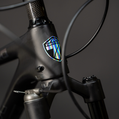 Bicicleta Twitter MTB Leopard Pro Carbon Whheltop EDS 13V. Cambios Electrónicos 29