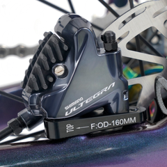 Bicicleta Twitter Cyclone PRO Carbon Ultegra R8020 Aros de Carbon