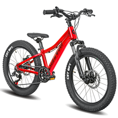 Bicicleta Sunpeed Youth Kids 20