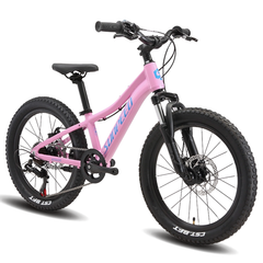 Bicicleta Sunpeed Youth Kids 20