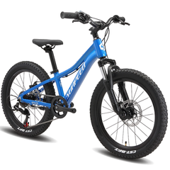 Bicicleta Sunpeed Youth Kids 20