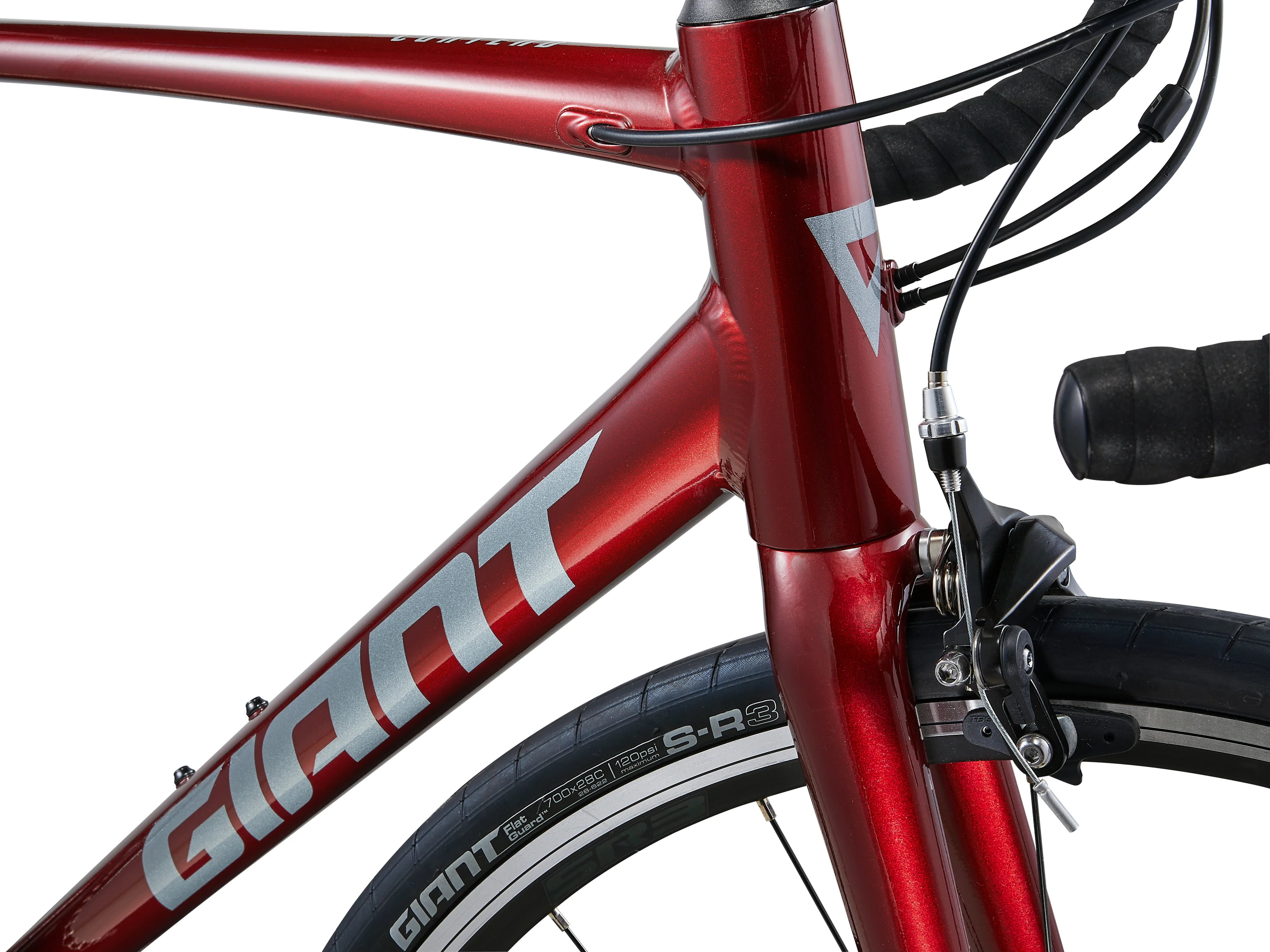 Giant contend claris hotsell