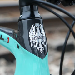 Bicicleta Bianchi Oltre XR 3