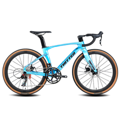 Bicicleta Ruta Twitter Carbon Disc Ltwoo 2X11V.